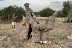 Solidarietà in natura, ContestoLab fa tappa in una masseria