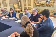 Crisi dell’olivicoltura, il sindaco al fianco degli agricoltori: «Anche a Ruvo faremo la nostra parte»
