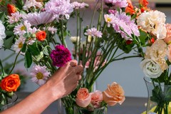 Sciopero dei Tir, Coldiretti Puglia: fiori a rischio e in bilico il 20% del fatturato annuo