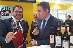 Il vino della Puglia piace all’estero, siamo secondi in Italia per produzione