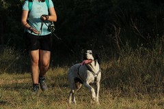 A spasso con i cani del canile, secondo Dog Trekking a Ruvo di Puglia