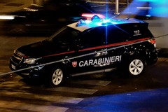 Assaltarono un TIR a Ruvo, 15 persone arrestate dai carabinieri