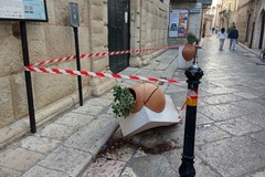 Fioriera abbattuta davanti a Palazzo Caputi: sui social parte la caccia ai colpevoli, ma è stato un incidente