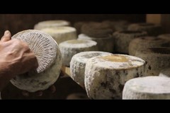 Cheese 2019: sulla Murgia è nata una “stella”. Il battesimo del Capriccio di capra murgiano