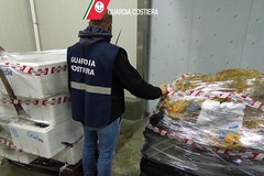 Operazione della Guardia Costiera: sequestrate 40 tonnellate di pesce