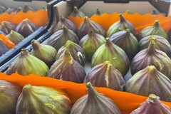 Il fiorone di Ruvo sbarca nel porto di Bari, i turisti in transito potranno assaggiarlo