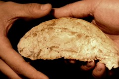 “Le vie del Pane a Ruvo di Puglia”: arte, volontariato e tradizione