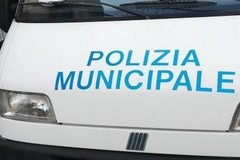 Serrati controlli a Ruvo, sanzionata una attività commerciale