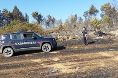 Incendio Acquatetta, individuato il presunto responsabile dai forestali di Ruvo di Puglia
