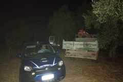 Ritrovati due veicoli rubati, erano vicino al cimitero di Ruvo di Puglia