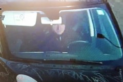 Carabinieri, il video dell'arresto del latitante