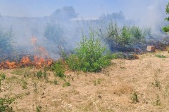 Incendi, sette interventi delle Guardie Campestri di Ruvo la settimana scorsa