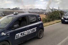 Incendio sulla SP 238 a Ruvo di Puglia