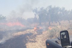Incendio in campagna in Contrada Rocco Sante in prossimità di Parco del Conte. LE FOTO