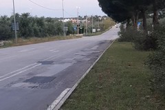 Forza Italia denuncia il degrado della SP2 verso Corato: “Interventi a metà e manutenzioni inefficaci”