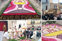 Ruvo di Puglia risplende con l’Infiorata dell’Ottavario del Corpus Domini