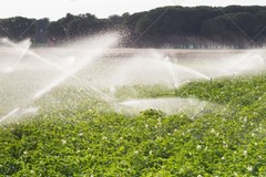 Acqua, aumenti in vista per gli agricoltori