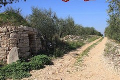 Il Bio-Distretto delle Lame di Ruvo fra i Distretti del Cibo di Puglia