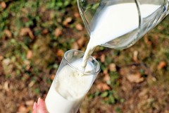 Latte, produzione in diminuzione nel barese