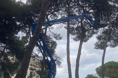 Pineta comunale di Ruvo di Puglia: in corso la manutenzione straordinaria
