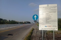 Lavori di ammodernamento e adeguamento sulla SP 231 nel territorio di Ruvo