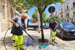 Ruvo, presenza di "Melata" sul territorio e disagi temporanei