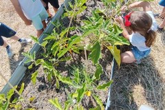 La periferia di Ruvo si fa cittadinanza: il 4 settembre “Racconti di Comunità”