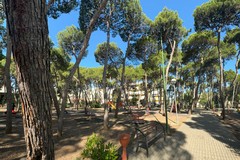 "Note tra i pini": l'estate ruvese comincia in pineta