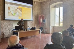 Al via il secondo appuntamento Urbana a Ruvo: al centro la cooperazione tra commercianti