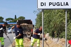 Intervento di pulizia straordinaria lungo la strada che collega Ruvo a Terlizzi
