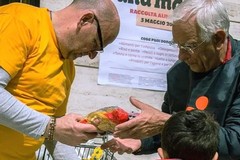 "Volontari per un giorno" a Ruvo  per la raccolta alimentare del 16 marzo
