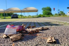 Notti insonni alle Capannine: il consigliere Spinelli denuncia rumori e fuochi fuori controllo