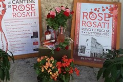 “Rose e Rosati 2026” a Ruvo di Puglia: due giorni tra eccellenze, cultura e spettacolo