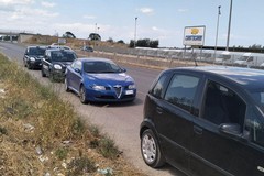 Furti d'uva a Ruvo di Puglia, ladro in azione fermato dalla Metronotte