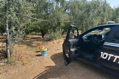 Sorpresi a rubare in un frutteto a Ruvo di Puglia, due fermi