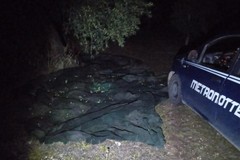 Sventato un furto di olive nelle campagne di Ruvo di Puglia, ladri in fuga