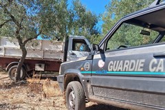 Furti nelle campagne, ritrovato un camion carico di uva da vino