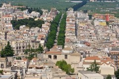 Il Pug di Ruvo di Puglia si ferma in Regione, la rabbia del centrodestra