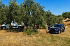 Ritrovati tre veicoli rubati tra Bitonto, Corato, Terlizzi e Ruvo di Puglia