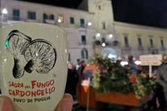 Sagra del Fungo Cardoncello a Ruvo di Puglia: il programma della seconda e ultima giornata