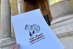 Registrato il marchio “Sagra del Fungo Cardoncello - Comune di Ruvo di Puglia”