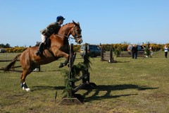 A Ruvo di Puglia il Campionato Regionale di Salto Ostacoli 2020