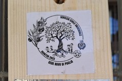 Servizio Civile Universale, a Ruvo via al progetto "Monitor 2024"