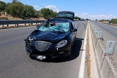 Ciclisti morti a Terlizzi, sequestrato il cellulare dell'investitore