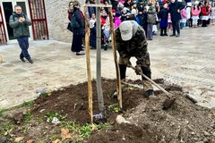 Tiglio dopo tiglio, Ruvo di Puglia coltiva il futuro