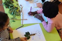 Dalla natura alla narrazione: a Ruvo di Puglia il laboratorio che trasforma foglie in storie