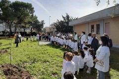 Lions Club pianta 14 alberi nel giardino della scuola Bovio