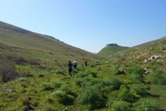 Nasce il MurGeoPark Trail Experience: un Festival nel cuore dell'Alta Murgia