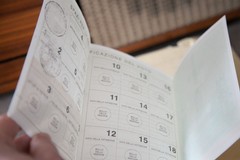 Referendum sulla Giustizia 2026, affluenza ore 23: a Ruvo ha votato il 41,71%