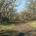 Ruvo di Puglia in agricoltura: furti in campagna, la risposta del Consorzio